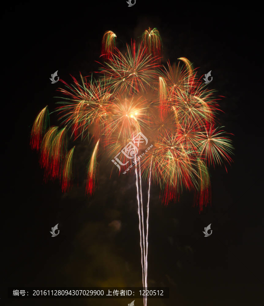 夜空中的煙花