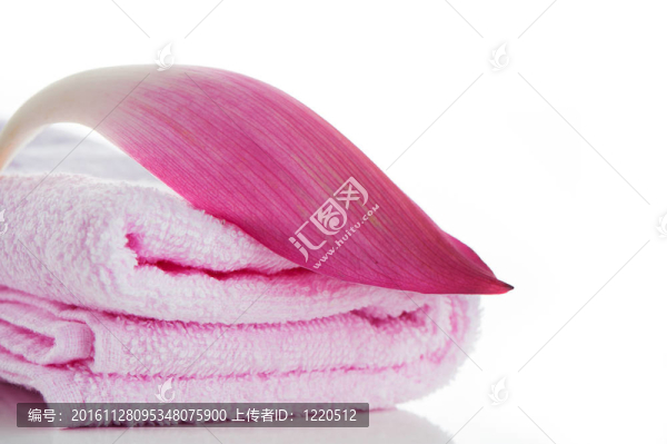 粉红色的毛巾，白色背景上的莲花花瓣和文字区域