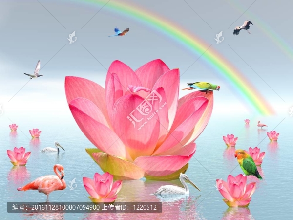 彩虹下的Lily,flowers和小鳥