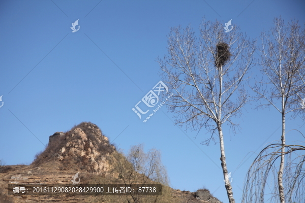 鳥巢