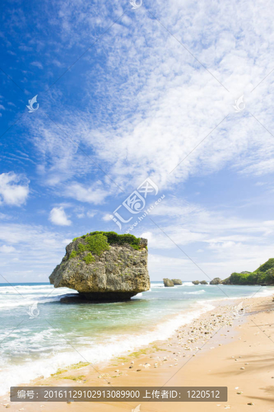 拔示巴；巴巴多斯東部海岸；加勒比海