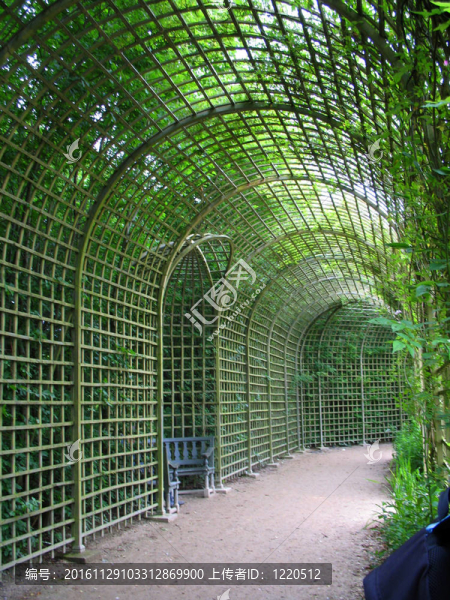 公園；植物弧和樹木。