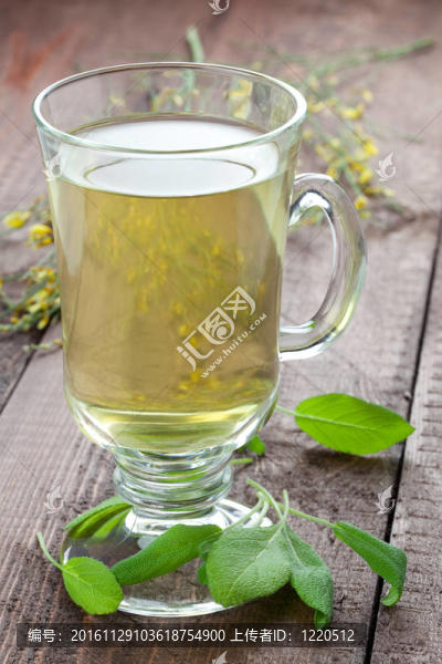 鼠尾草茶