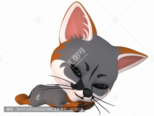 香椿的灰色狐貍