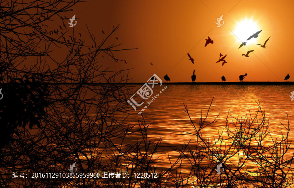 Nile河畔