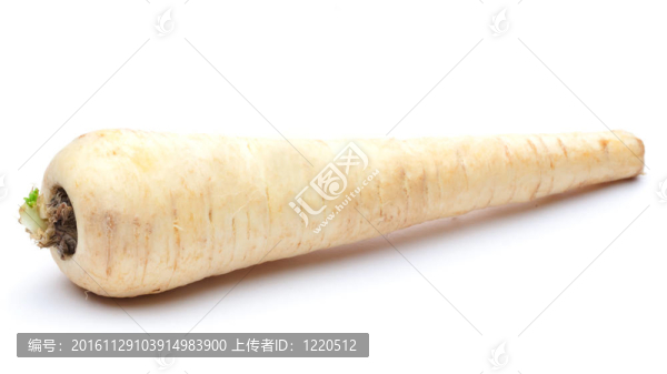 防風(fēng)