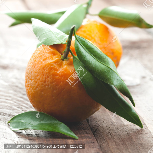 新的Tangerine夜店