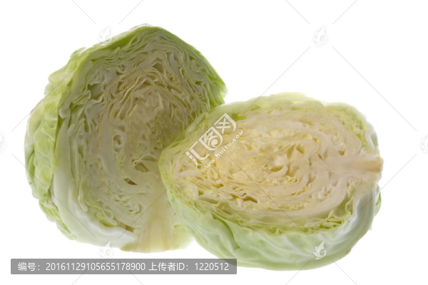 切白菜分離