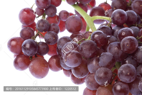 無籽葡萄干分離