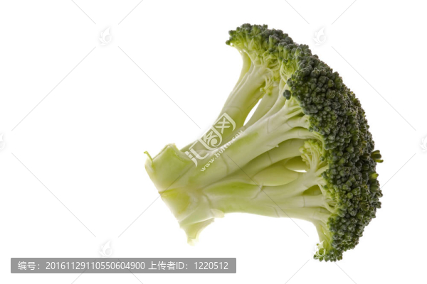 西蘭花宏