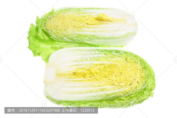 大白菜