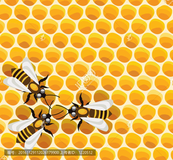 蜜蜂在honeycells