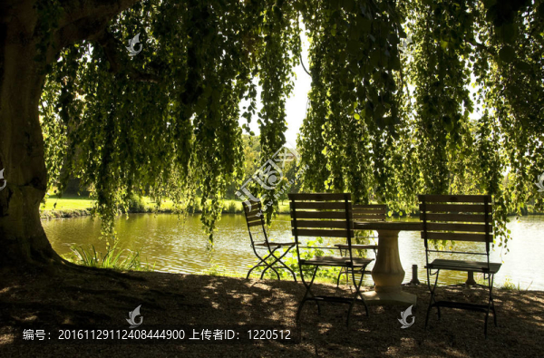 在池塘旁邊的桌子和椅子