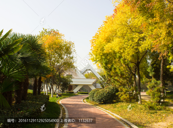 公園