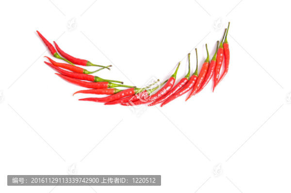 美麗的辣椒在白色。