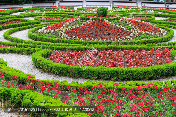 公園里的花