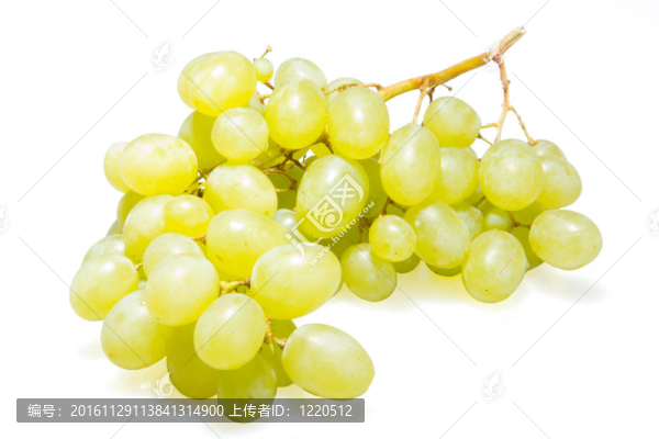 綠葡萄