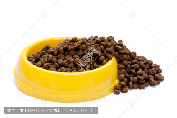 黃色碗里的寵物食品
