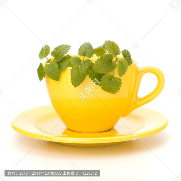 草藥薄荷茶