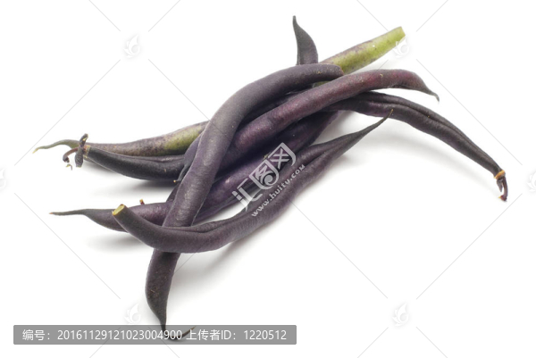 豆的豆莢