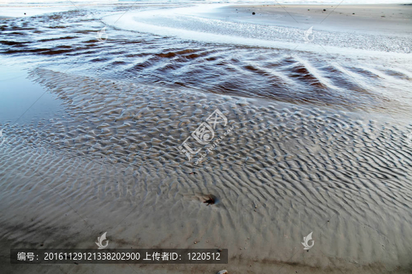 漂浮在海洋中的河流