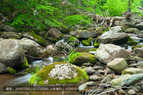仙南渡國家公園木河