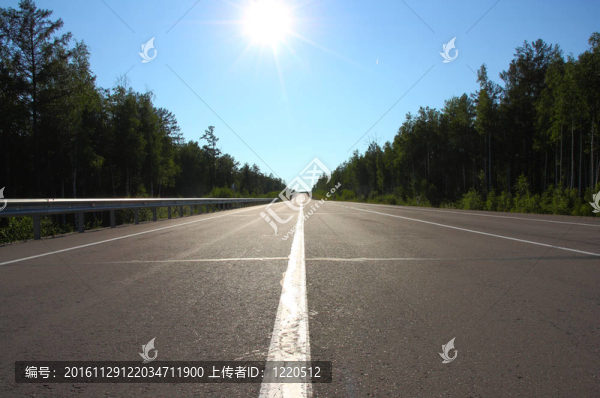 林中之路
