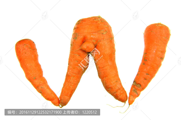白蘿卜上的胡蘿卜