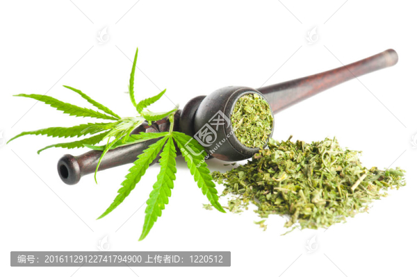 大麻