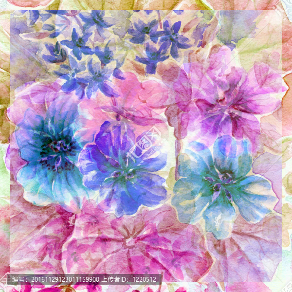 花旱金蓮
