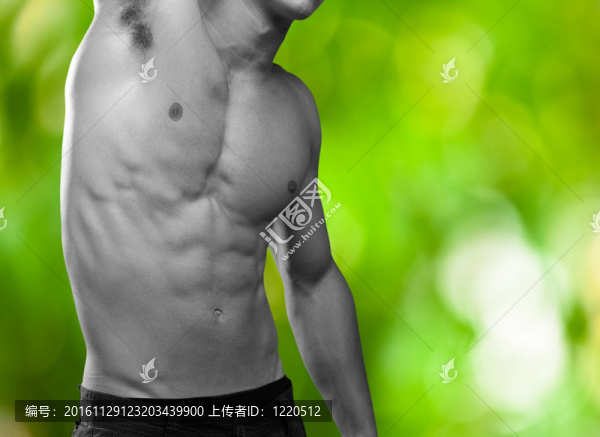 強大的軀干