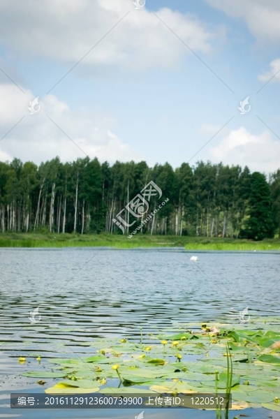 湖