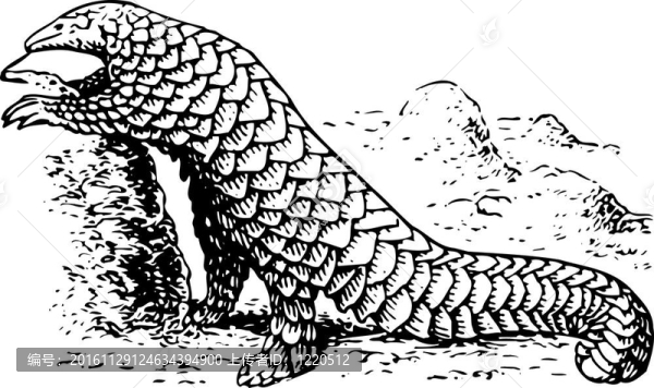 爬行動(dòng)物