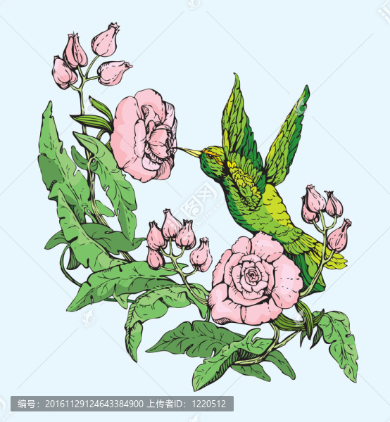 蜂鳥和花。