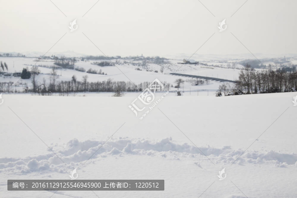 雪景