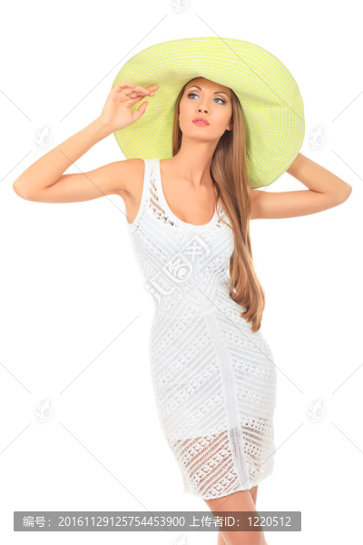 模型的夏天