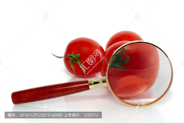 西紅柿和放大鏡