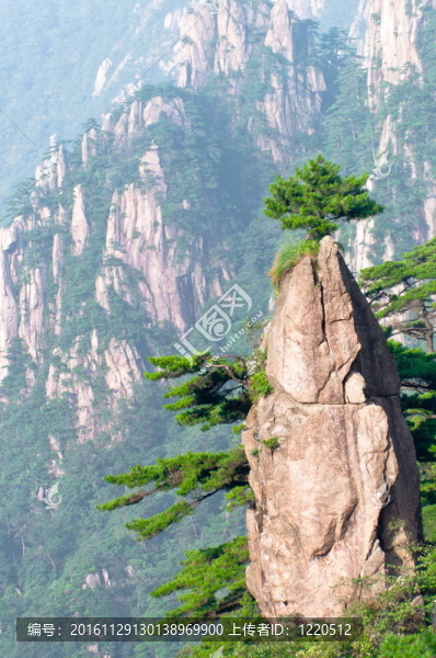 黃山市的山峰