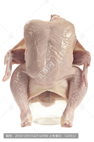 生雞肉