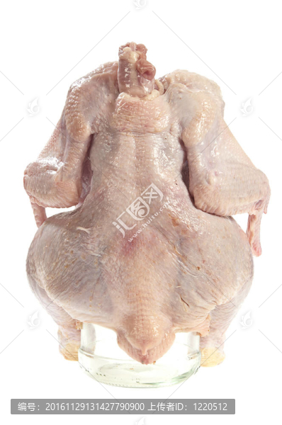 生雞肉