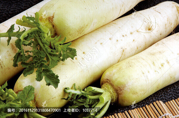 白蘿卜