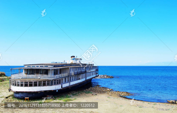 海