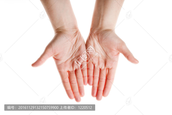 女人的手掌