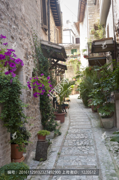 Spello；舊街