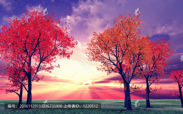 秋天的景色