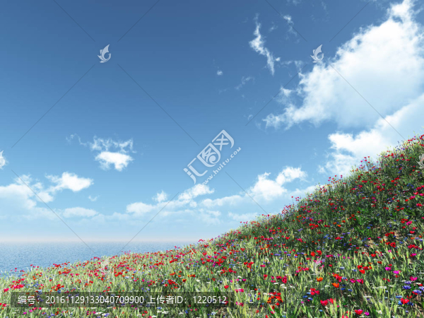 美麗的花朵
