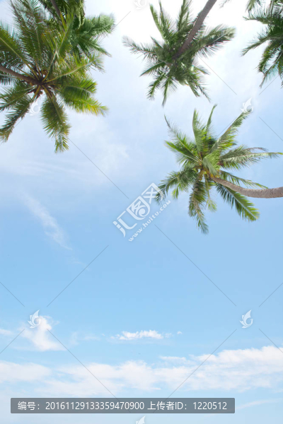 在天空