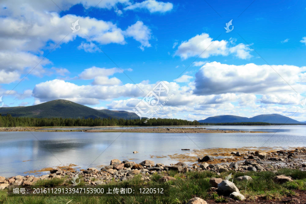 白色的海岸