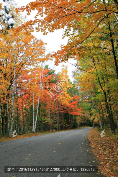 秋天的路上的風(fēng)景