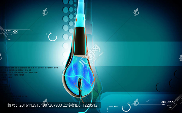 頭發(fā)截面